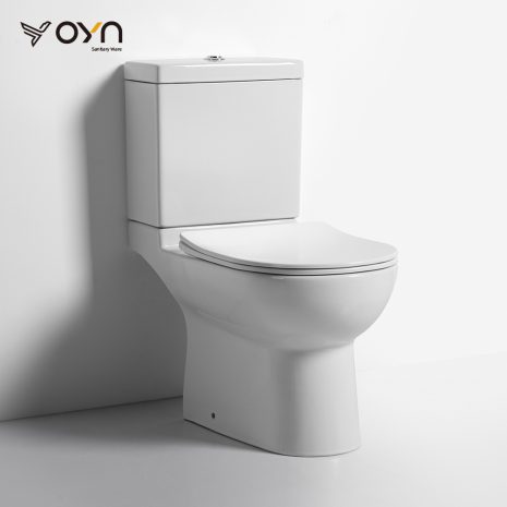 FT4 Two-piece Toilet (1)