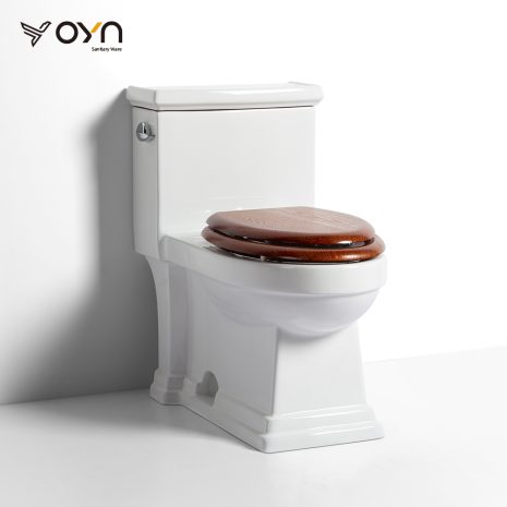 M17-3B One-piece Toilet (1)