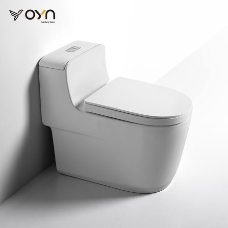 M18-1 One-piece Toilet (1)