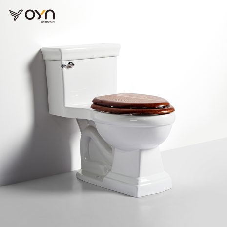 M7-3 One-piece Toilet (1)